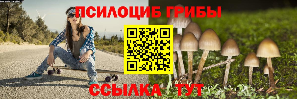 Галлюциногенные грибы Psilocybine cubensis Улан-Удэ