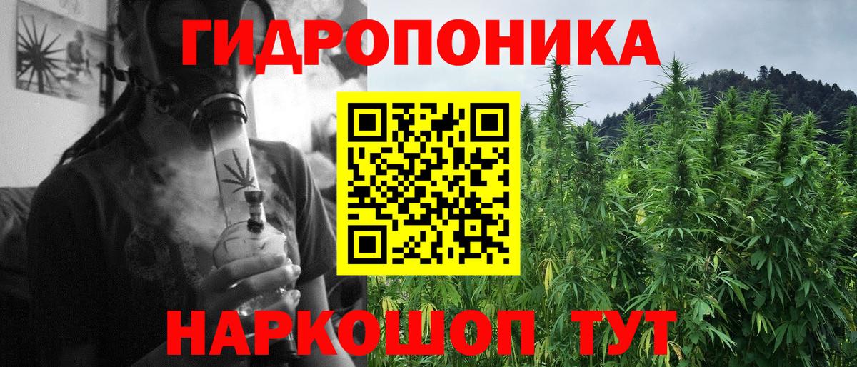 Каннабис семена Улан-Удэ
